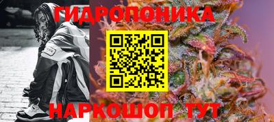 сатива Аргун