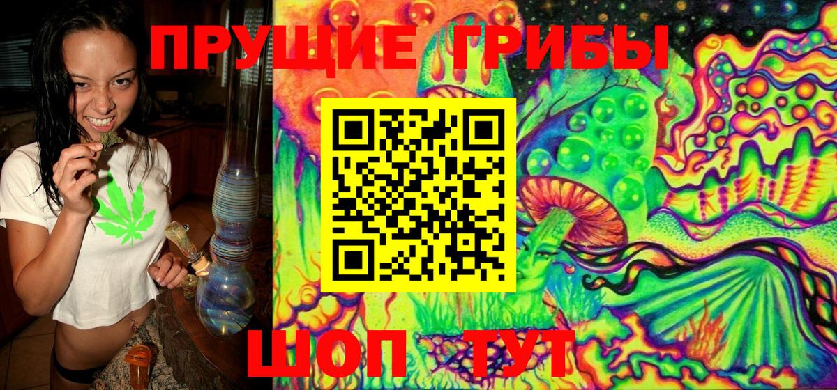 Галлюциногенные грибы Cubensis Верхняя Салда