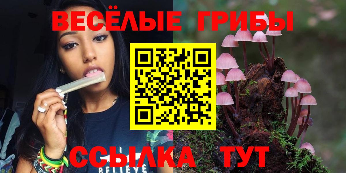 Верхняя Салда  Псилоцибиновые грибы Psilocybe  Галлюциногенные грибы Psilocybe  купить наркотик  Вход с VPN 